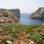 Gardenia Alghero