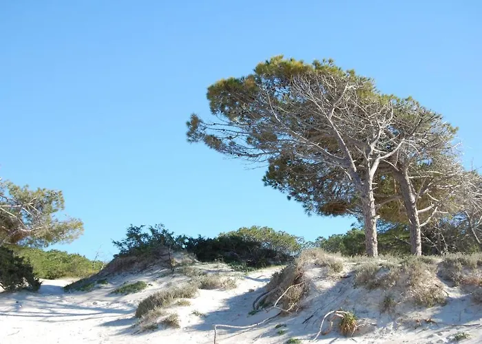 Gardenia Hotel apartamentowy