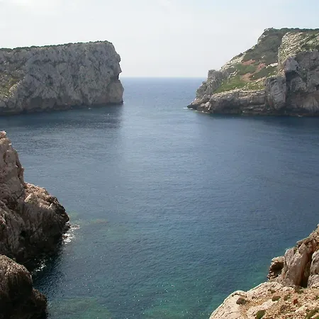 Gardenia ألغيرو